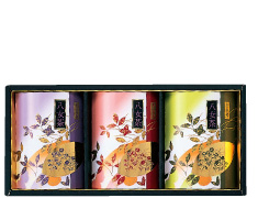 3本入り八女茶