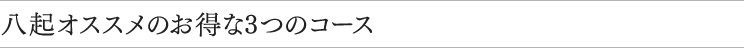 八起オススメのお得な3つのコース